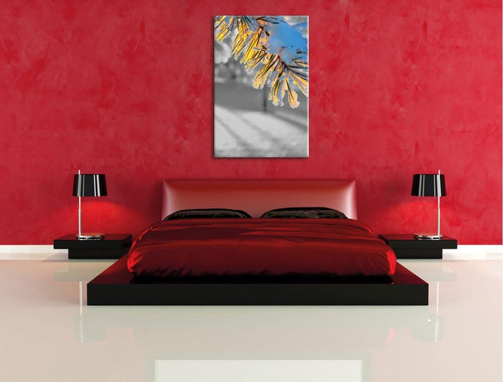 Pixxprint Tannenzweig im Winterwald schwarz/weiss als Leinwandbild/Grösse: 100x70 cm/Wandbild/Kunstd