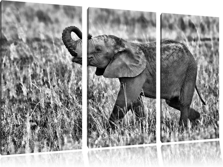 Pixxprint kleines Elefantenjunges als Leinwandbild/Grösse: 3 Teilig (120x80) cm/Wandbild/Kunstdruck/