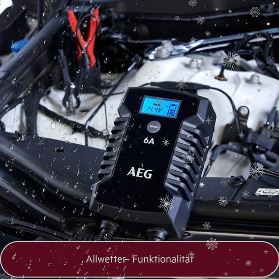 AEG Automotive 10617 Mikroprozessor-Ladegerät für Auto Batterie LD 6.0, 6 Ampere für 6/12 V, 7-HF La