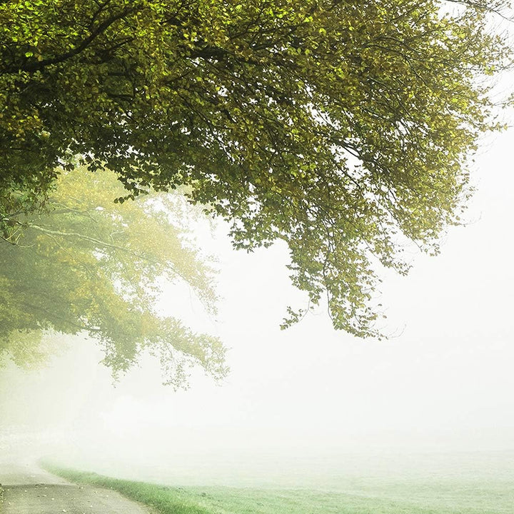 Feeby - Wandbilder Wohnzimmer 90x60 cm, Deko Paneel Bilder, Bilder für Schlafzimmer, Echter Gemalter