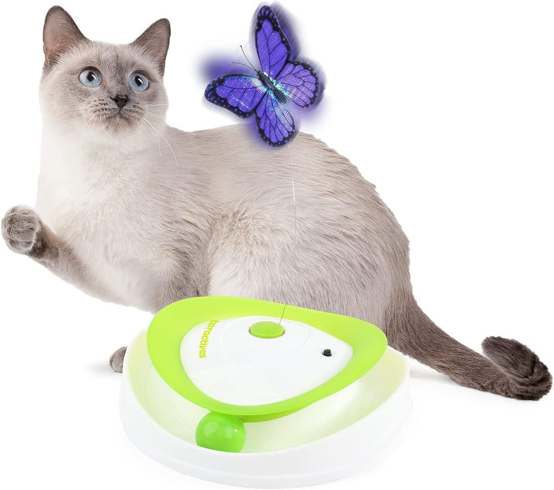 ALL FOR PAWS 2 in 1 Interaktives Katzenspielzeug zum Umrollen von Flattern, interaktives Katzenspiel