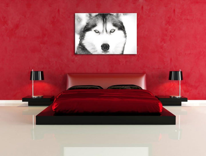 Husky Kohle Effekt, Format: 100x70 auf Leinwand, XXL riesige Bilder fertig gerahmt mit Keilrahmen, K
