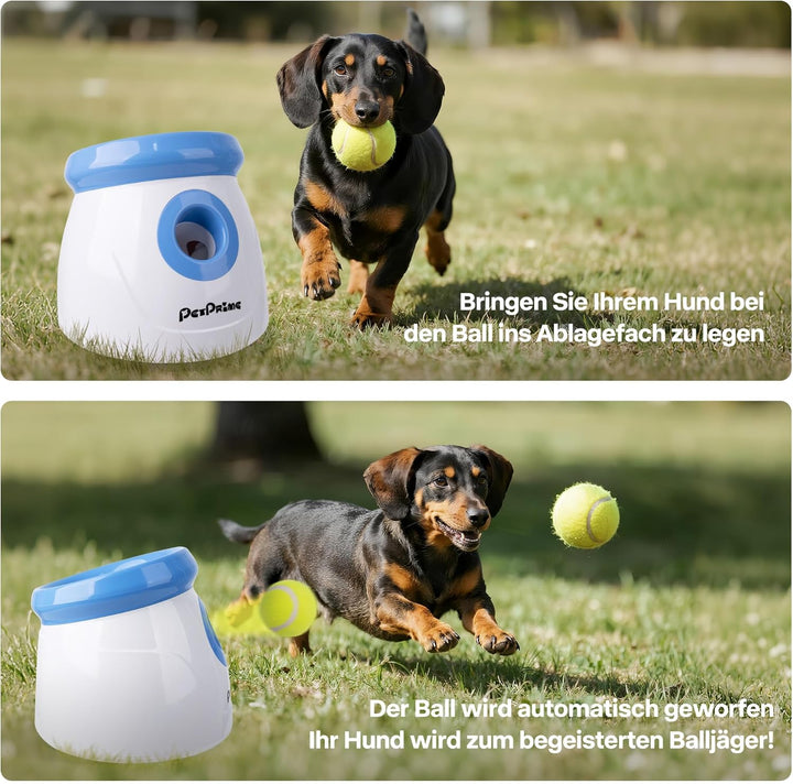 Pet Prime Automatische Ballwurfmaschine für Hunde mit 3 Distanzen (3m-9m) Inkl. 3 Robusten Tennisbäl