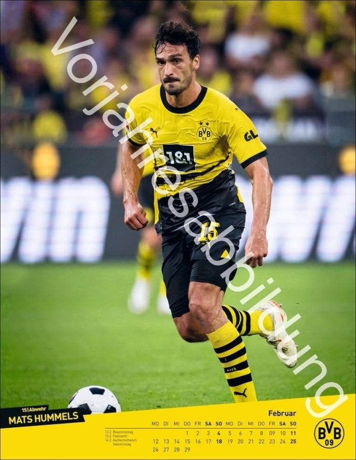 BVB Posterkalender 2025: Jahres-Wandkalender 2025 für Fussballfans. Fotokalender mit den Stars von B