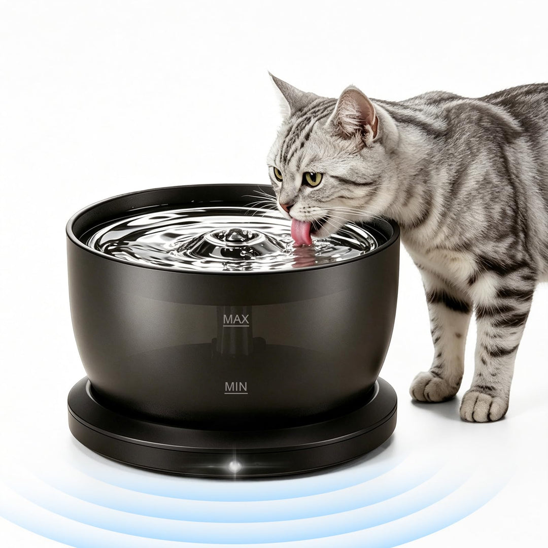3L Trinkbrunnen für Katze Kabellos, 4000mAh Akku, 25dB Leise Pumpe | Katzenbrunnen mit Bewegungsmeld
