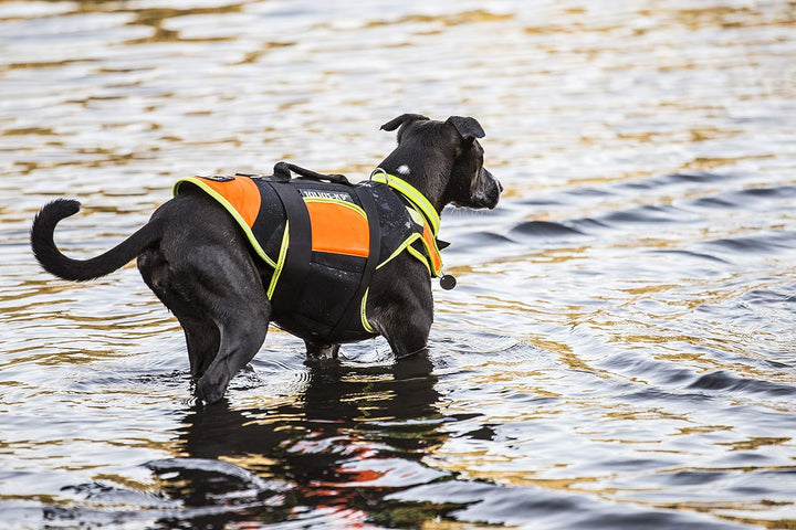 Julius-K9, IDC Multifunktionale Hundeweste 3in1, Grösse: L, Schwarz und UV Orange L Schwarz und Neon
