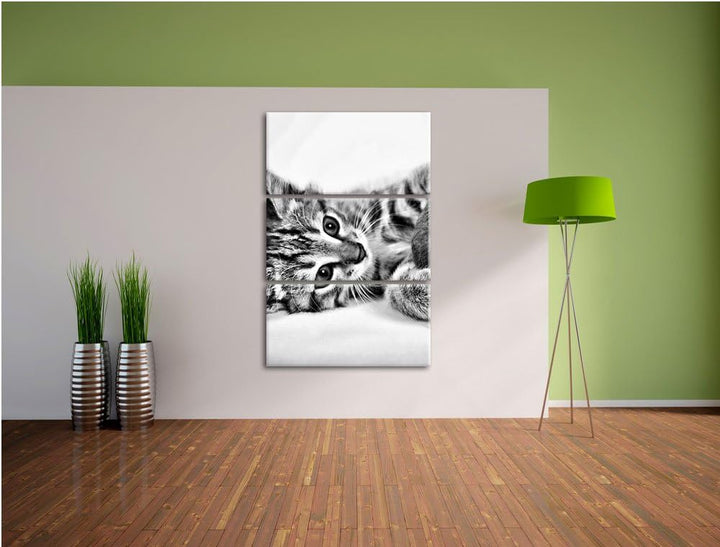 Pixxprint Kätzchen mit Wollknäuel als Leinwandbild/Grösse: 3 Teilig (120x80) cm/Wandbild/Kunstdruck/