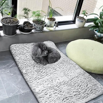 Vaileal 60 x 80cm Selbstheizende Katzendecke, Selbstwärmend Decke Katze, Flauschig und Weich Wärmede