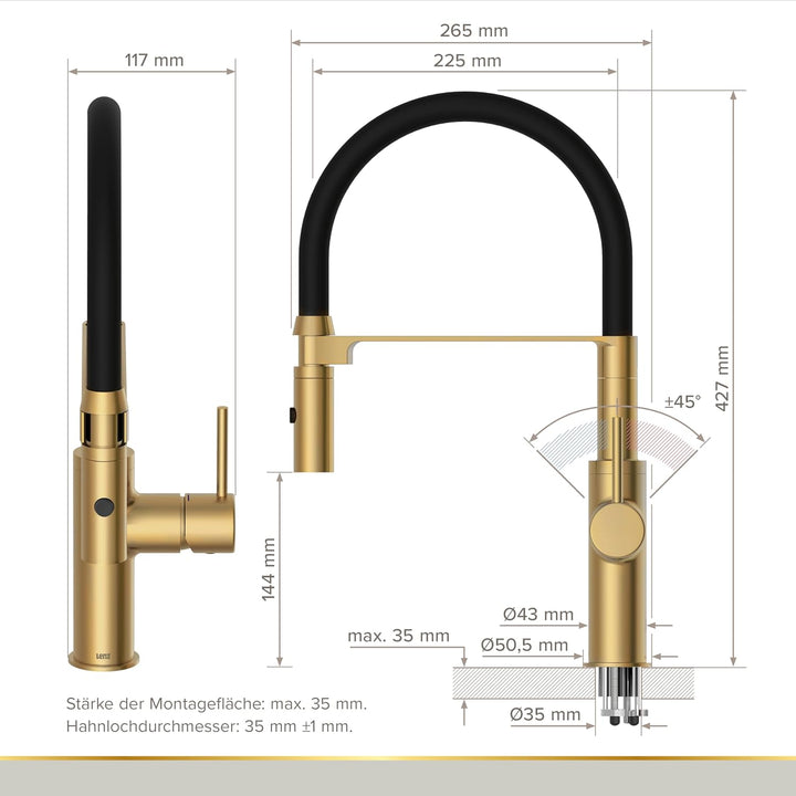 Lenz Küchenarmatur NALU Gold – Flexible, 360° schwenkbare Pendelbrause | Geschirrbrause, 2 Strahlart