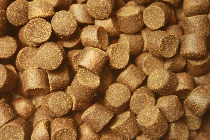 Tomodachi Störfutter extragross 10mm Störsinkfutter, Energiefutter für Störe, deutsche Top Qualität,