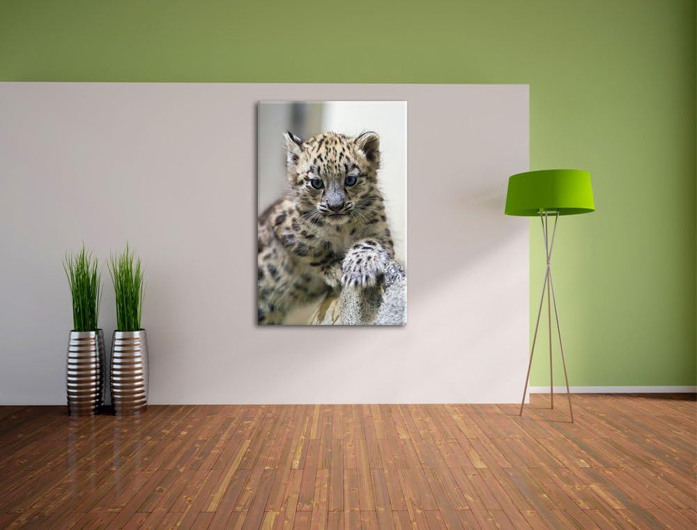 Pixxprint Leopardenjunges beim Klettern auf Leinwand, XXL riesige Bilder fertig gerahmt mit Keilrahm