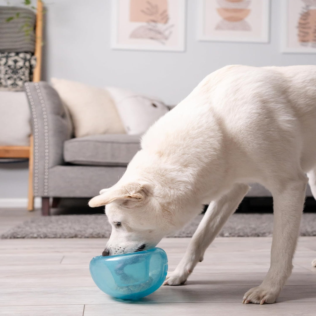 Planet Dog Orbee-Tuff Snoop - Interaktives Spielzeug für Hunde - Snackball - Blau - Gross Large Snoo