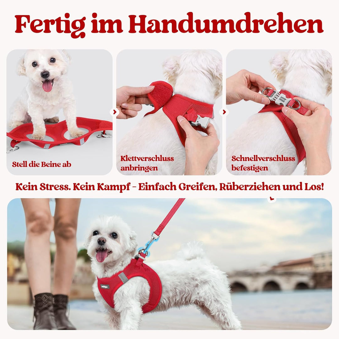 rabbitgoo Hundegeschirr Kleine Hunde mit Leine, Step-in Welpengeschirr Weich Mesh für Spaziergänge,