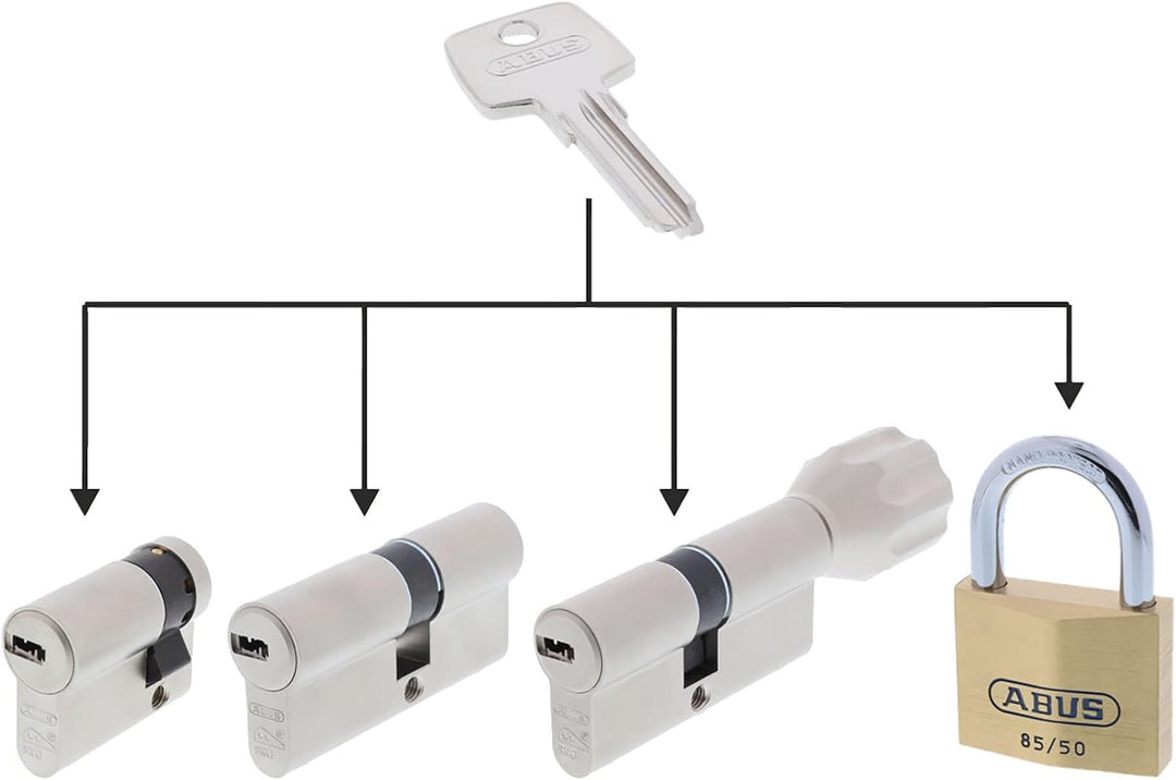 ToniTec Set aus ABUS Schliesszylinder EC550 gleichschliessend mit 3 Schlüssel, Schloss mit Schlüssel
