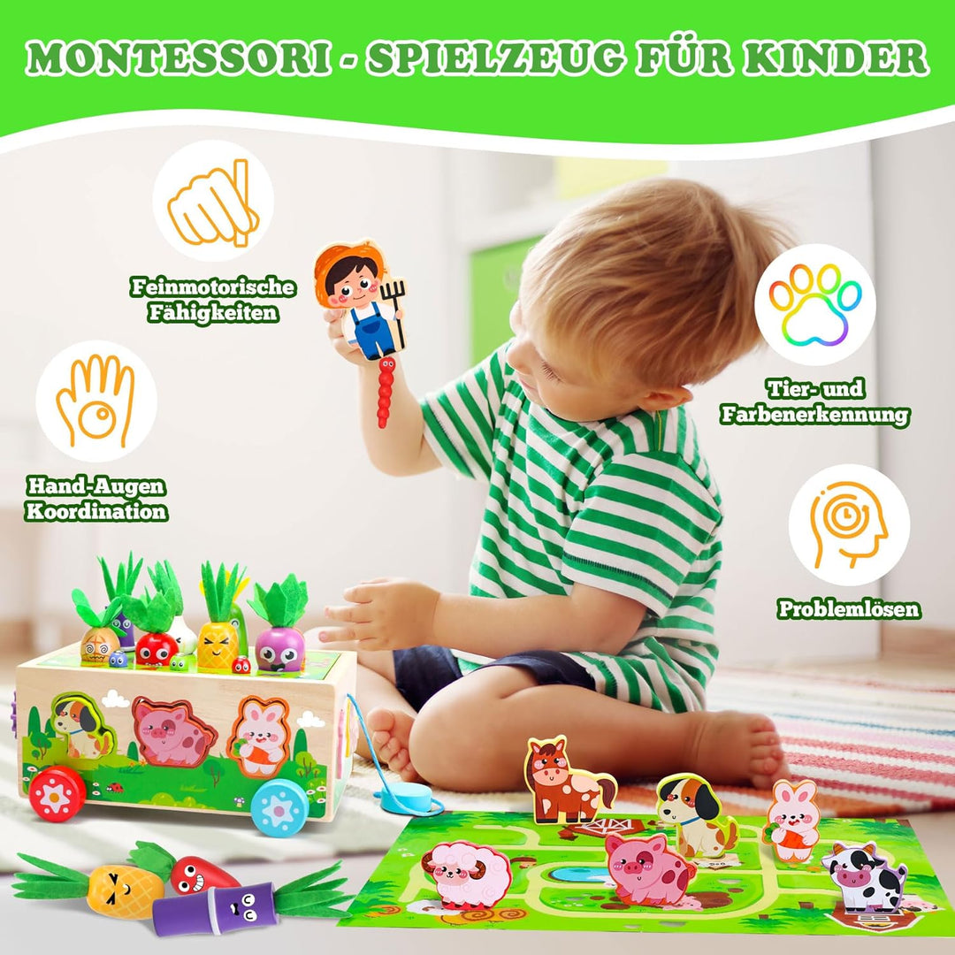 Tooysea Montessori Spielzeug ab 1 2 3 Jahr, Montessori Spielzeug Baby mit Landkarte, Karotten Stecks