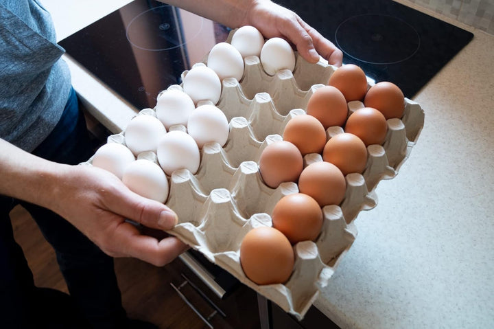 Nipter Eierpappen Eierkarton für Hühnereier, Eierschachtel für 30 Eier, 20 Stück, 20