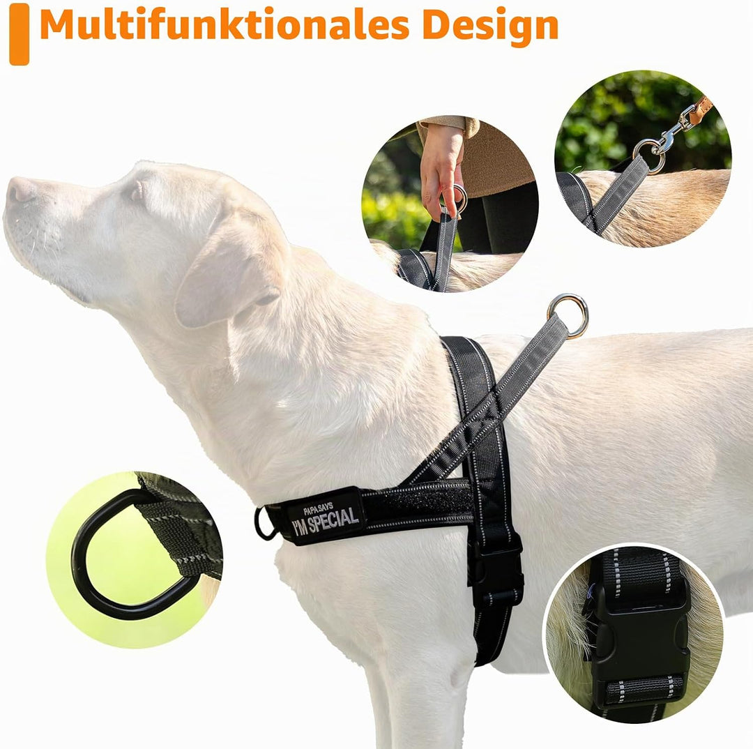 No Pull Hundegeschirr für kleine mittelgrosse Hunde, reflektierend ausbruchsicher verstellbar ohne Z
