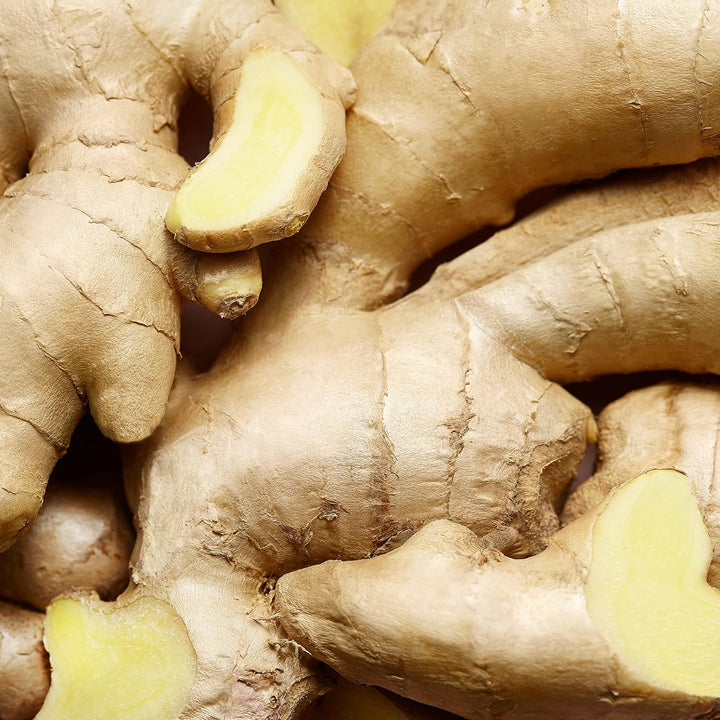 ESCADA Celebrate n.o.w Eau de Parfum, orientalisch-blumiger Damenduft 30 ml (1er Pack), 30 ml (1er P