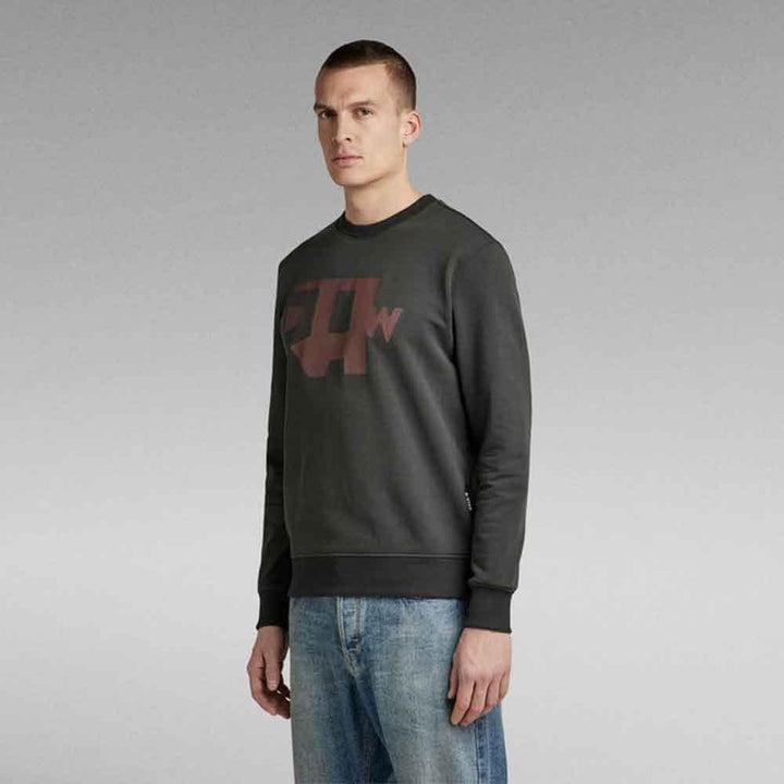 G-STAR RAW Herren Multi Colored Raw. R Sw Sweater L Grau (Cloack D22230-a613-5812), L Grau (Cloack D
