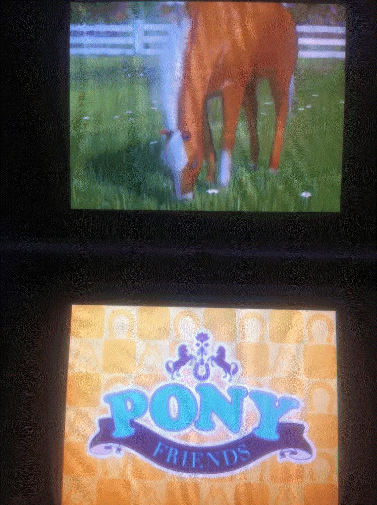 Pony Friends [Software Pyramide]