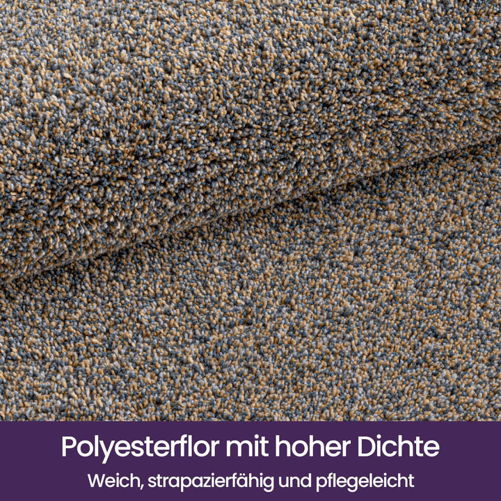 DEXI Fussmatte Innen 80 x 120 cm, rutschfeste Schmutzfangmatte, Maschinenwaschbare Fussmatte, Saugst