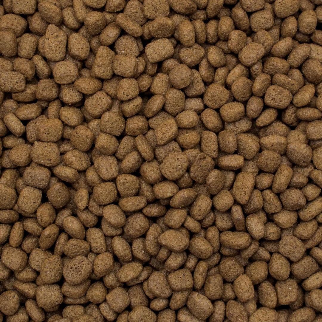 Tropical Premium Hundefutter mit Truthahn und Reis, 1er Pack (1 x 8 kg)