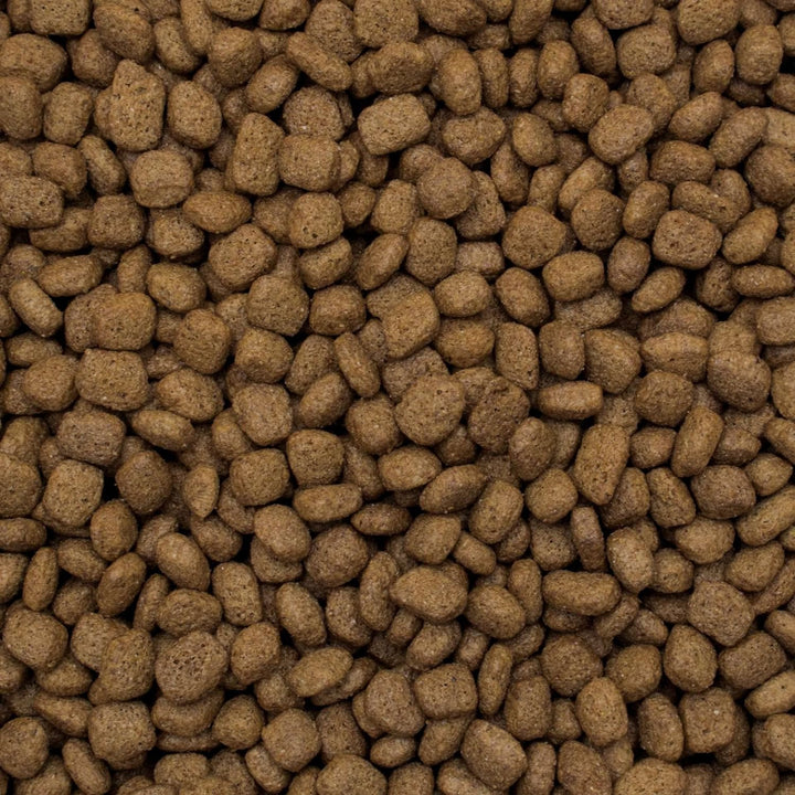 Tropical Premium Hundefutter mit Truthahn und Reis, 1er Pack (1 x 8 kg)