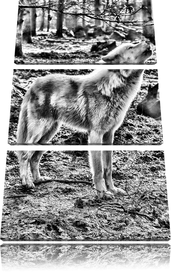 Pixxprint Monocrome, heulende Wölfe 3-Teiler Leinwandbild 120x80 Bild auf Leinwand