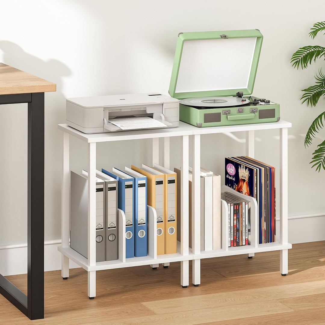 HOOBRO Plattenspieler Ständer, 2 Ebenen Schallplatten Regal, Beistelltisch, Plattenregal mit Trennwä