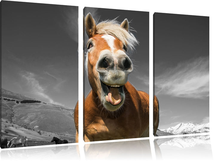 Pixxprint Lustiges Pferd in der Natur B&W Detail 3-Teiler Leinwandbild 120x80 Bild auf Leinwand