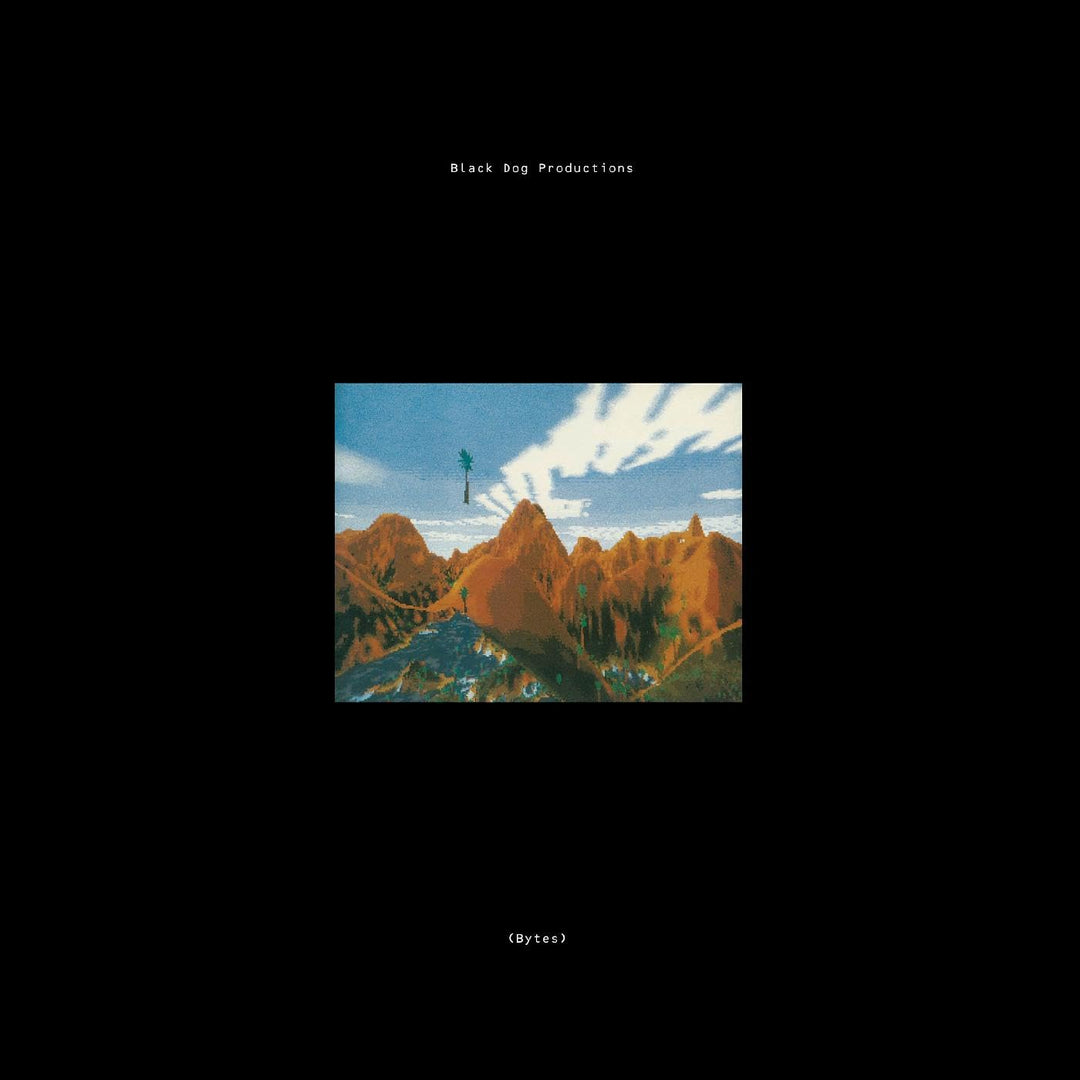 Bytes Dl, Vinyl