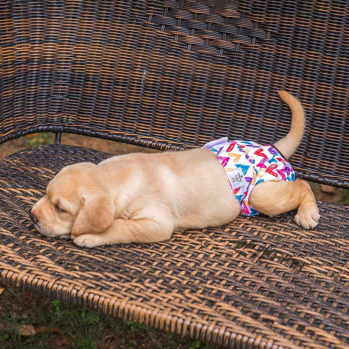CuteBone Hundewindeln für Weibliche Welpen, Waschbar und umweltfreundliche Damenbinden Höschen für U