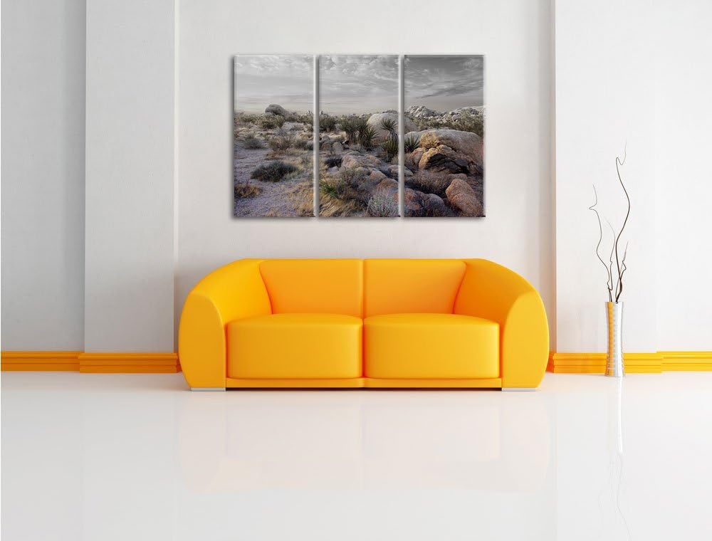 Pixxprint Joshua Wüste im Sonnenuntergang B&W Detail 3-Teiler Leinwandbild 120x80 Bild auf Leinwand