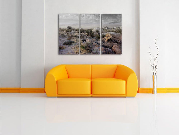 Pixxprint Joshua Wüste im Sonnenuntergang B&W Detail 3-Teiler Leinwandbild 120x80 Bild auf Leinwand