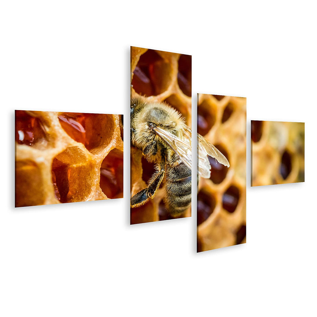 islandburner Bild auf Leinwand Bienen In Einem Bienenstock Auf Bienenwabe Bilder Wandbilder Poster L
