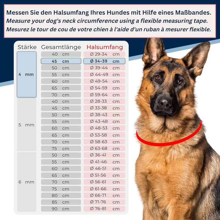 rostfreie Kombikette für Hunde - das ORIGINAL mit Zugstop - Edelstahl Hundekette Kettenhalsband kurz