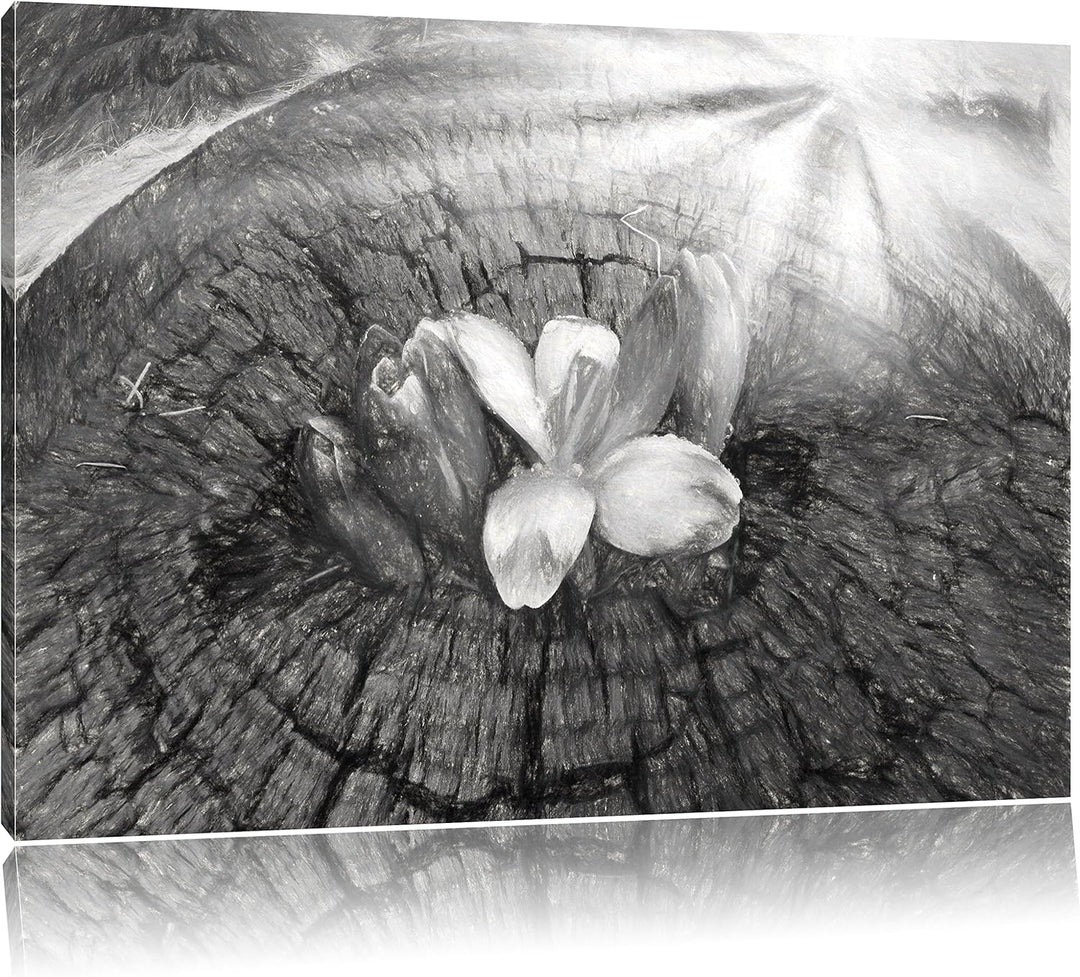 Pixxprint Die Kraft der Natur Kunst als Leinwandbild/Grösse: 100x70 cm/Wandbild/Kunstdruck/fertig be