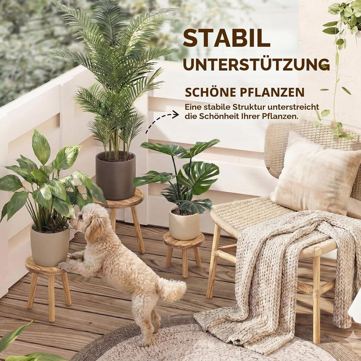 Bamworld Pflanzenhocker aus Holz im 3er-Set – Naturfarbene Blumenständer in 3 Grössen – Dekorativer