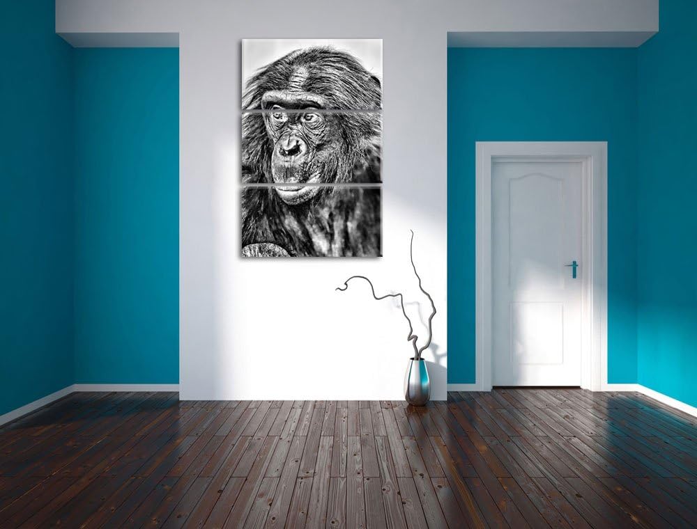 Pixxprint scheuer junger Gorilla als Leinwandbild/Grösse: 3 Teilig (120x80) cm/Wandbild/Kunstdruck/f