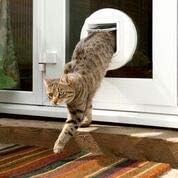Sure Petcare SureFlap Mikrochip-Katzenklappe Connect, kompatibel mit Smartphone-App, Einbau in Türen