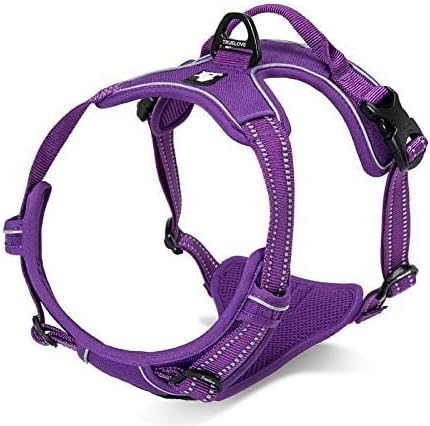 WINHYEPET Truelove Hundegeschirr No-Pull Reflektierendes verstellbar Haustiergeschirr mit 2 Leinencl