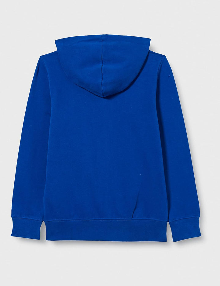 Replay Jungen Kapuzenpullover 4 Jahre 185 Bluette, 4 Jahre 185 Bluette