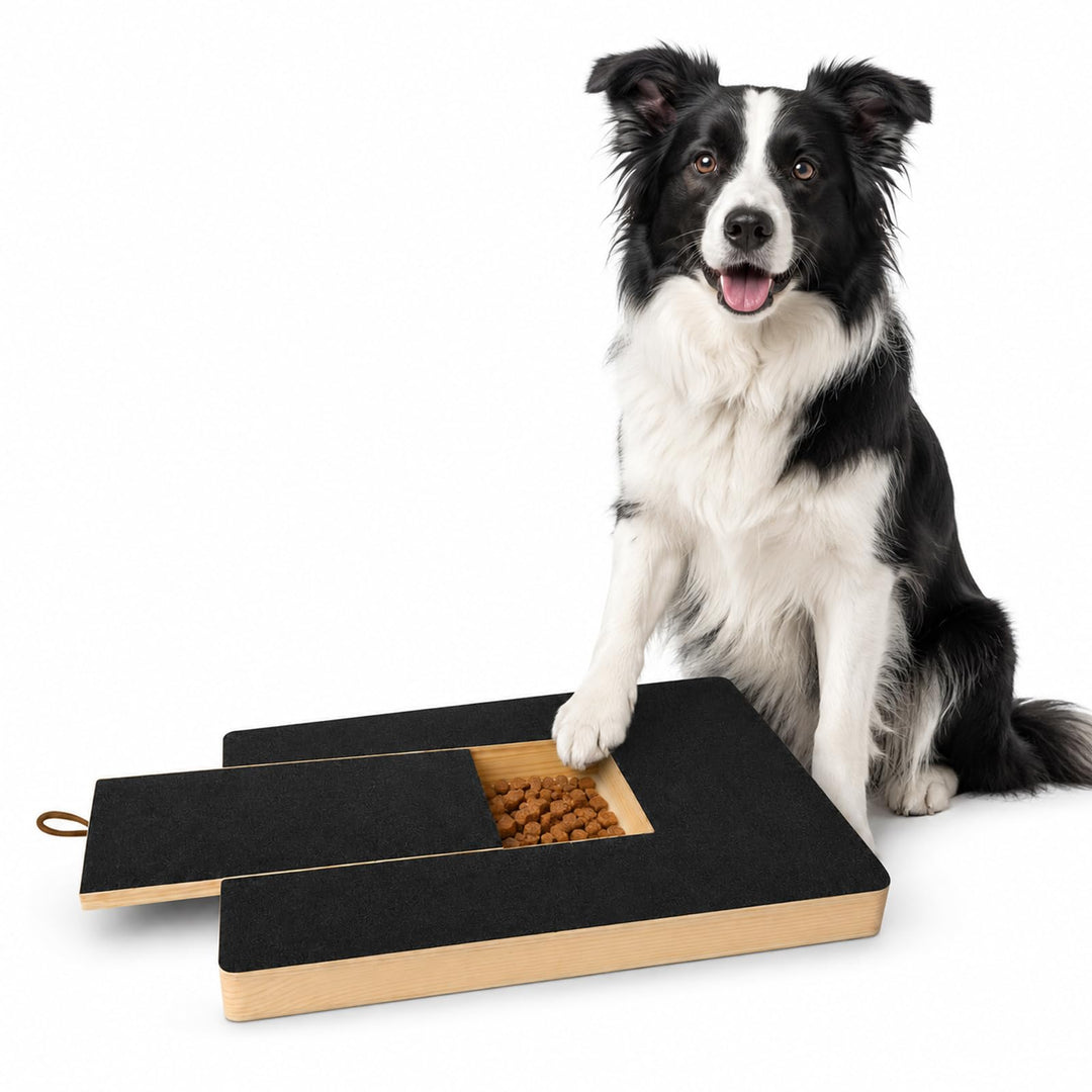 35×25 cm Kratzbrett für Hunde: Hunde Kratzbrett für Nägel mit Leckerlibox, Sandpapierbrett Scratch B