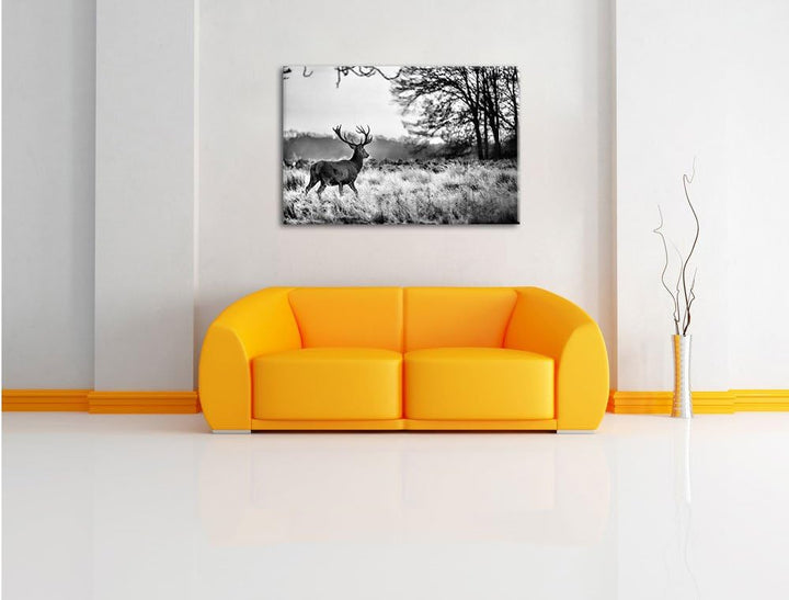 Pixxprint Monocrome, Hirsch im Sonnenuntergang, Format: 100x70 auf Leinwand, 100x70