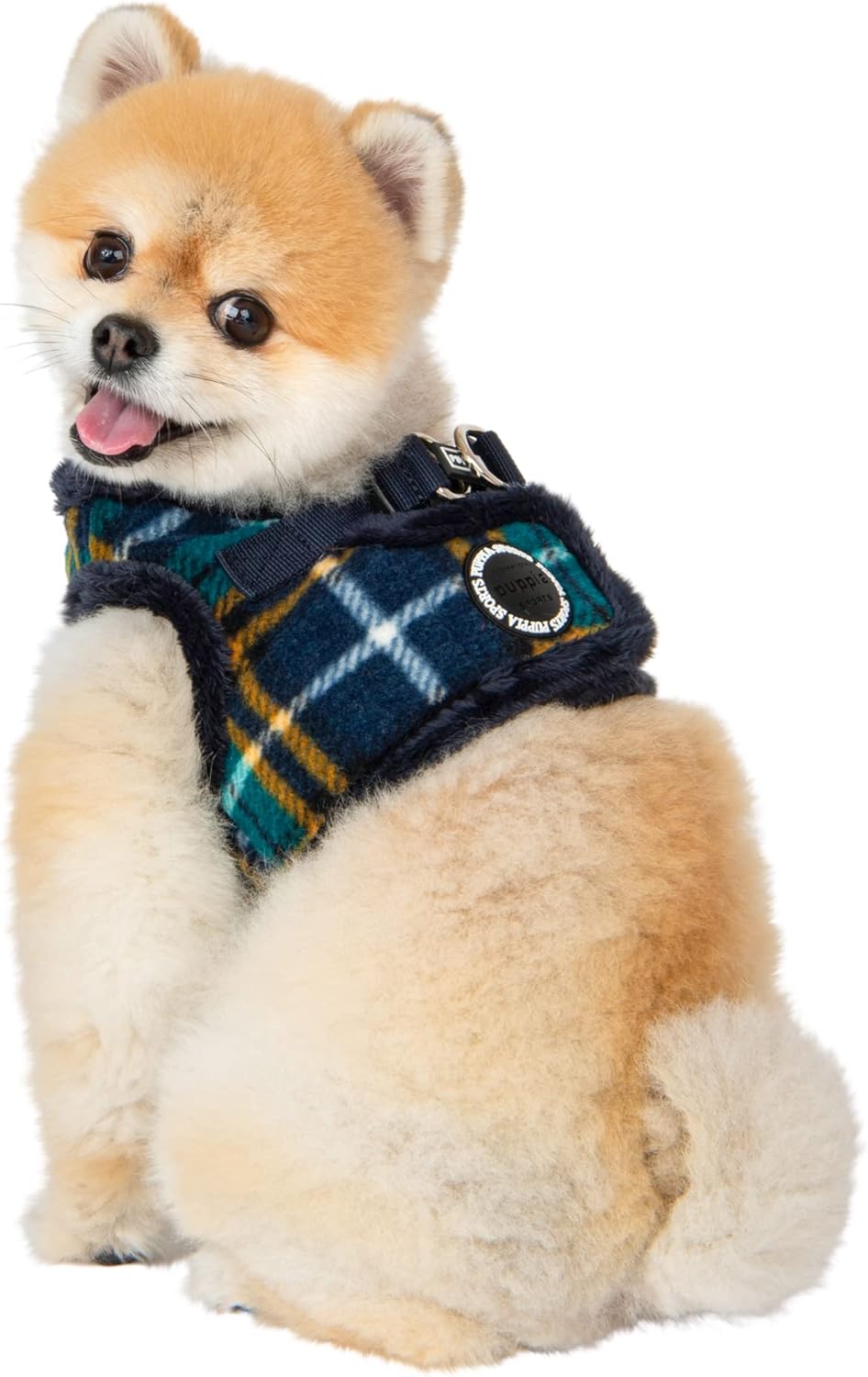 Norman Harness B/Navy/S