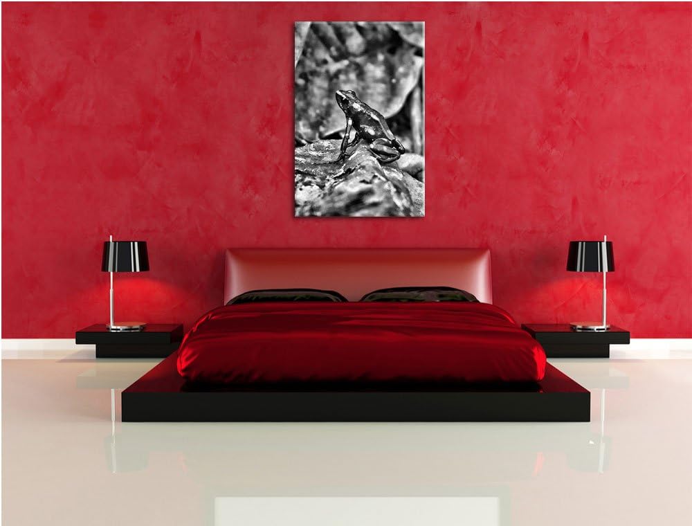 Pixxprint Baumsteiger Frosch als Leinwandbild/Grösse: 100x70 cm/Wandbild/Kunstdruck/fertig bespannt,