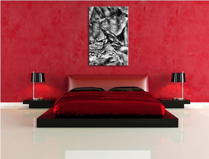 Pixxprint Baumsteiger Frosch als Leinwandbild/Grösse: 100x70 cm/Wandbild/Kunstdruck/fertig bespannt,