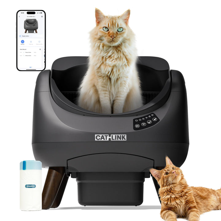CATLINK Selbstreinigende Katzentoilette, Katzenklo XXL mit offenem Top-Design, 5 GHz WLAN, 12L Gross