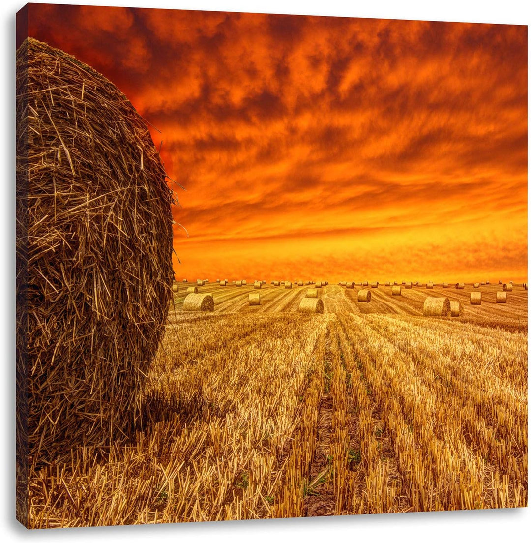 Feld im Sonnenuntergang, Format: 70x70 auf Leinwand, XXL riesige Bilder fertig gerahmt mit Keilrahme