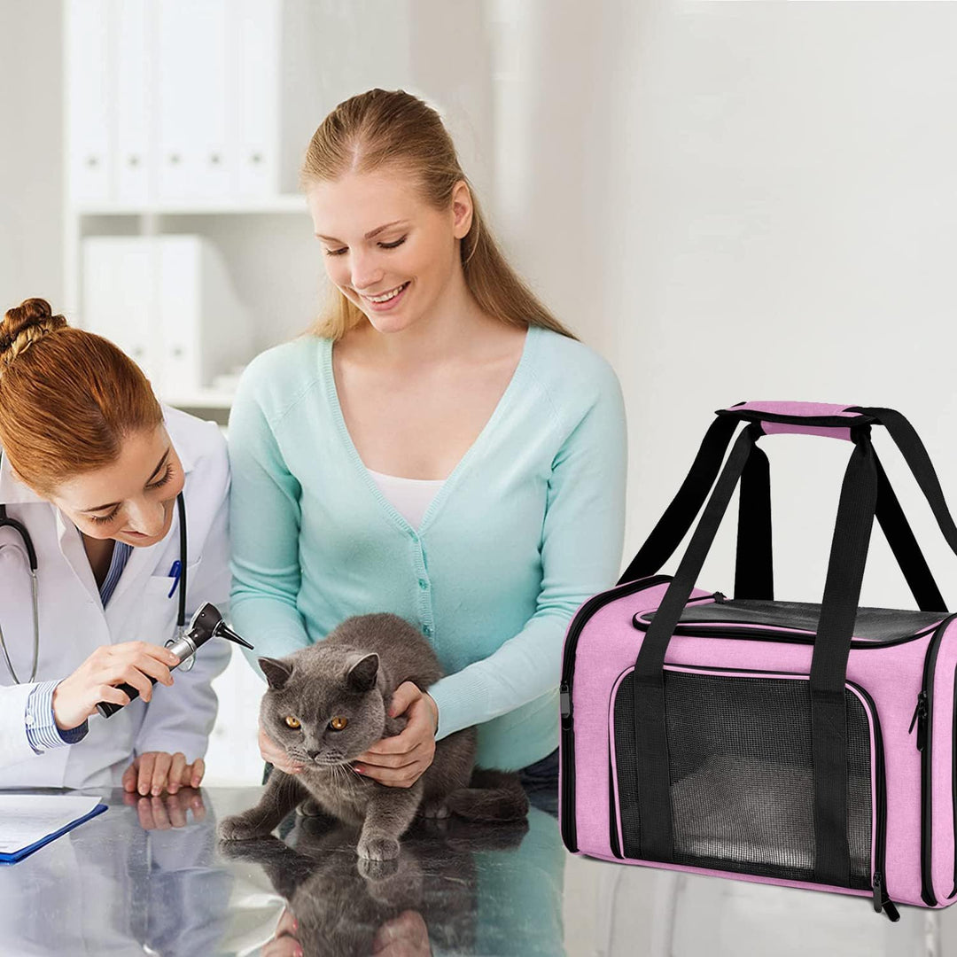 Transporttasche Katze, Transporttasche für Katze Hund bis zu 5kg, Tragbar Faltbare Haustier Tragetas